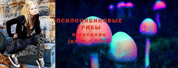 прущая мука Алзамай